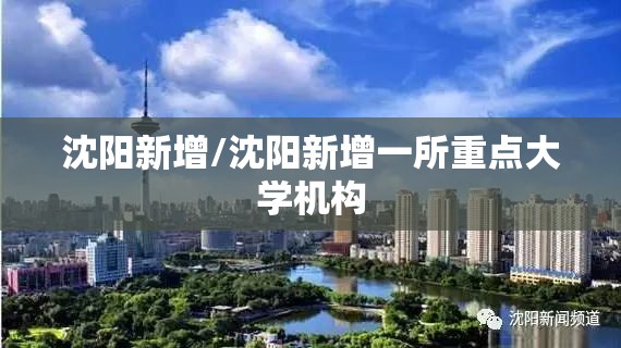 沈阳新增/沈阳新增一所重点大学机构