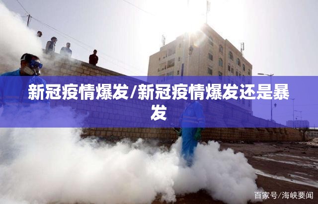 新冠疫情爆发/新冠疫情爆发还是暴发