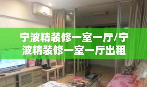 宁波精装修一室一厅/宁波精装修一室一厅出租