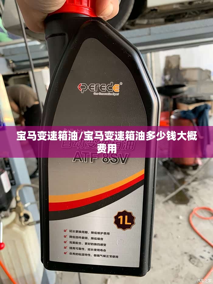 宝马变速箱油/宝马变速箱油多少钱大概费用 宝马变速箱油/宝马变速箱油多少钱大概费用