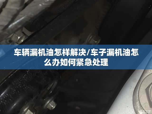 车辆漏机油怎样解决/车子漏机油怎么办如何紧急处理