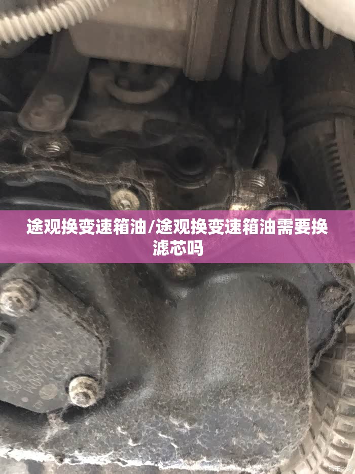 途观换变速箱油/途观换变速箱油需要换滤芯吗