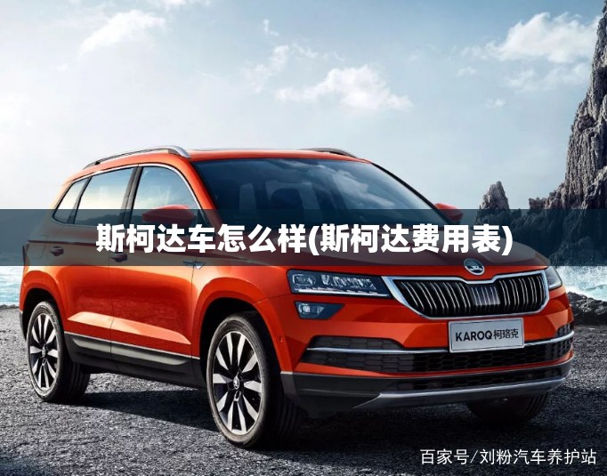 斯柯达车怎么样(斯柯达费用表) 斯柯达车怎么样(斯柯达费用表)