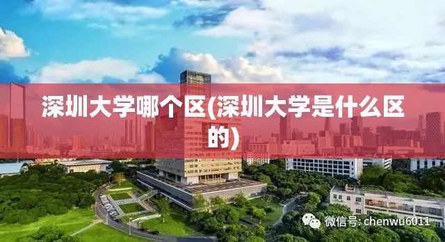 深圳大学哪个区(深圳大学是什么区的)