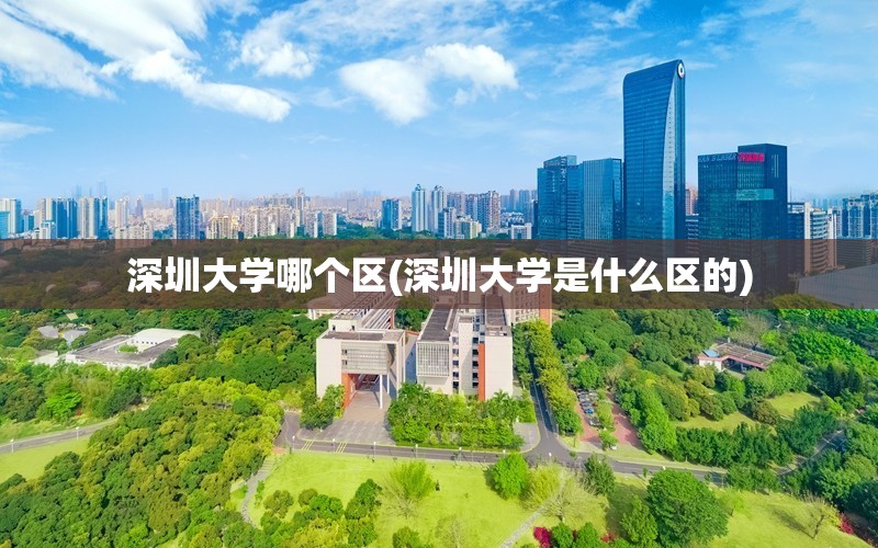 深圳大学哪个区(深圳大学是什么区的)