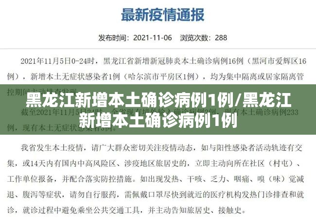 黑龙江新增本土确诊病例1例/黑龙江新增本土确诊病例1例
