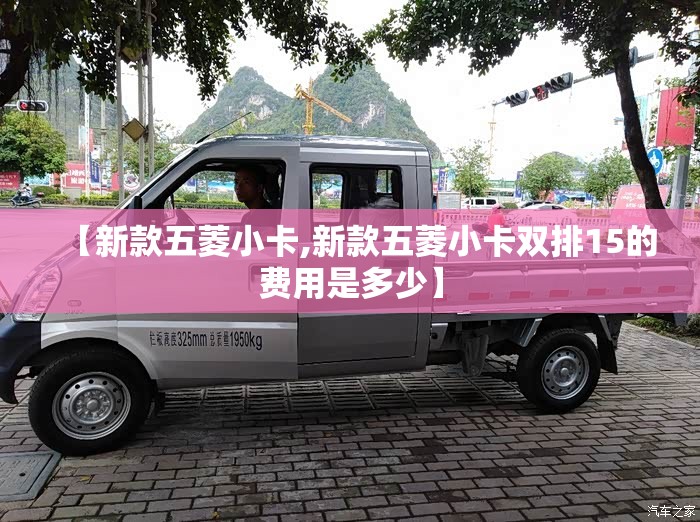 【新款五菱小卡,新款五菱小卡双排15的费用是多少】