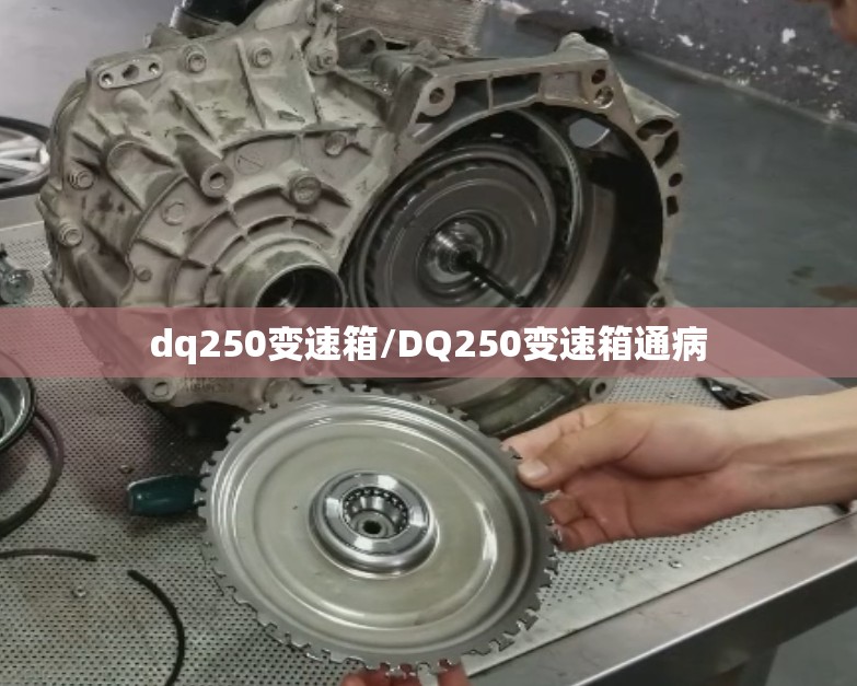 dq250变速箱/DQ250变速箱通病