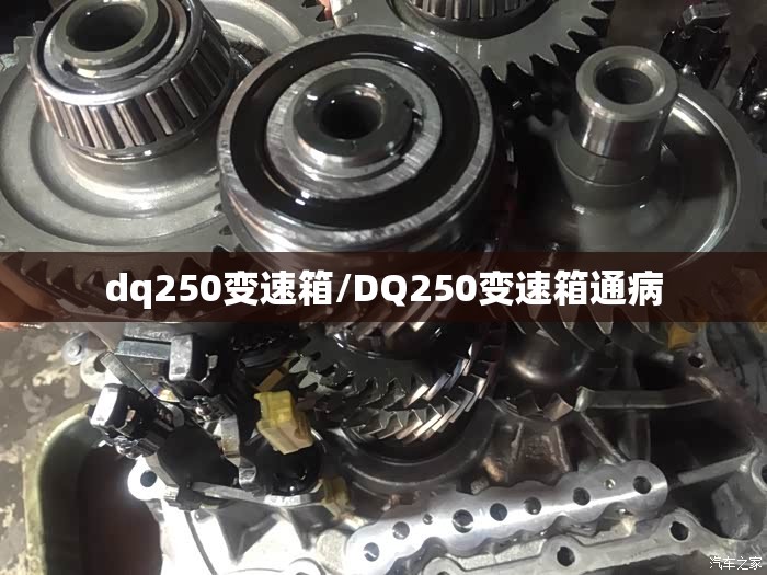 dq250变速箱/DQ250变速箱通病