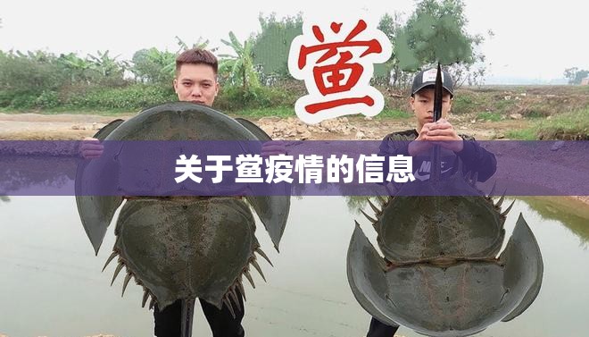 关于鲎疫情的信息