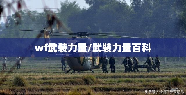 wf武装力量/武装力量百科