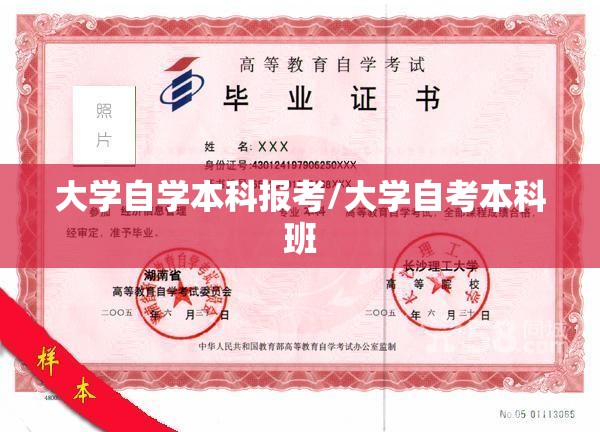 大学自学本科报考/大学自考本科班