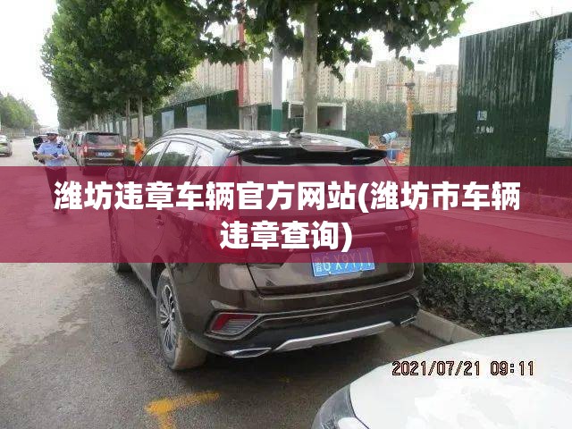 潍坊违章车辆官方网站(潍坊市车辆违章查询)
