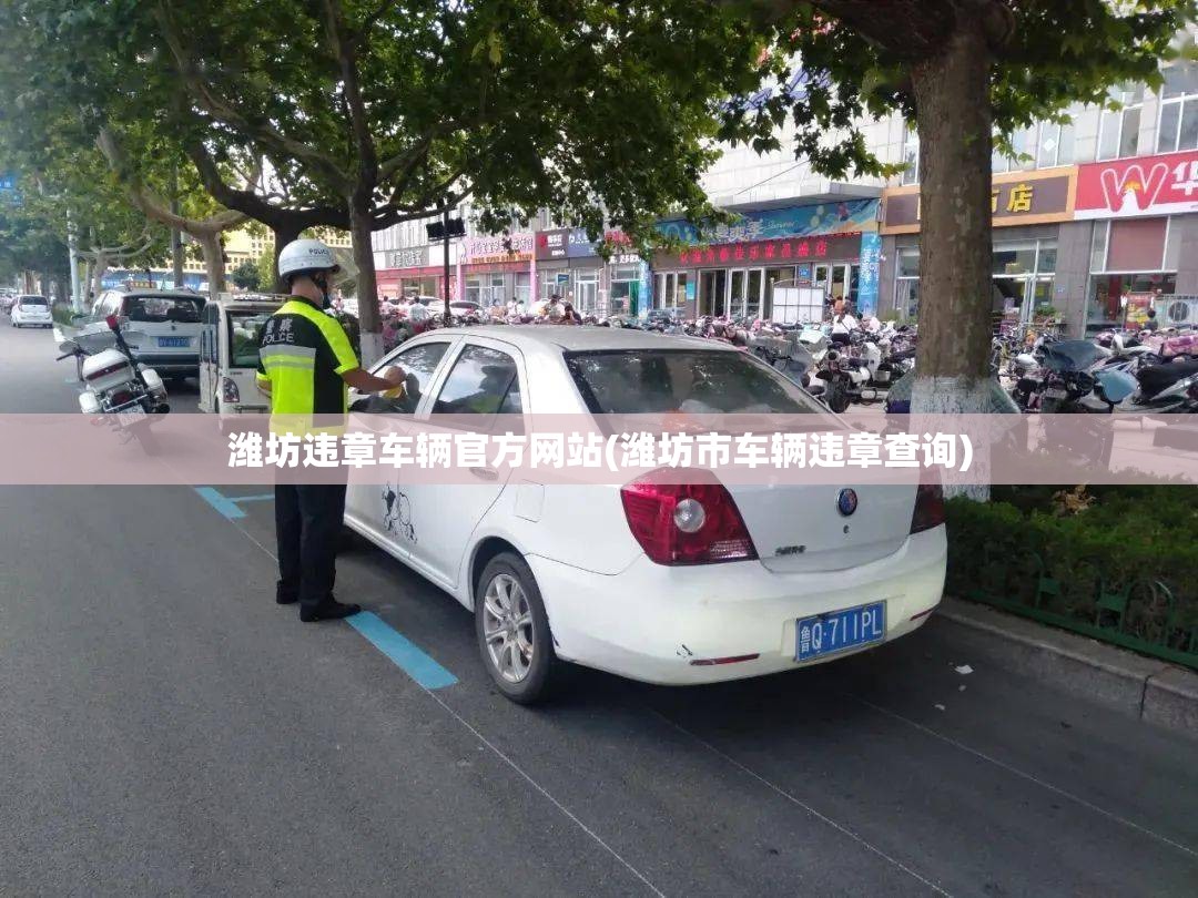 潍坊违章车辆官方网站(潍坊市车辆违章查询)