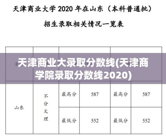 天津商业大录取分数线(天津商学院录取分数线2020) 天津商业大录取分数线(天津商学院录取分数线2020)