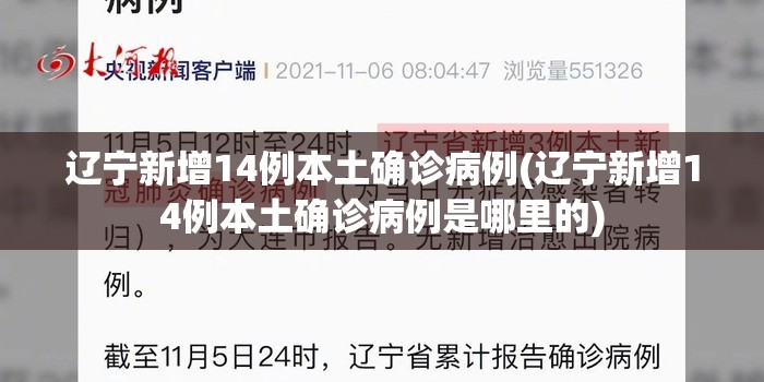 辽宁新增14例本土确诊病例(辽宁新增14例本土确诊病例是哪里的)