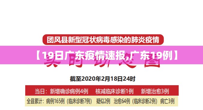 【19日广东疫情速报,广东19例】 【19日广东疫情速报,广东19例】