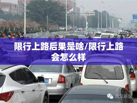 限行上路后果是啥/限行上路会怎么样