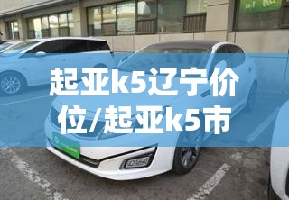 起亚k5辽宁价位/起亚k5市场价