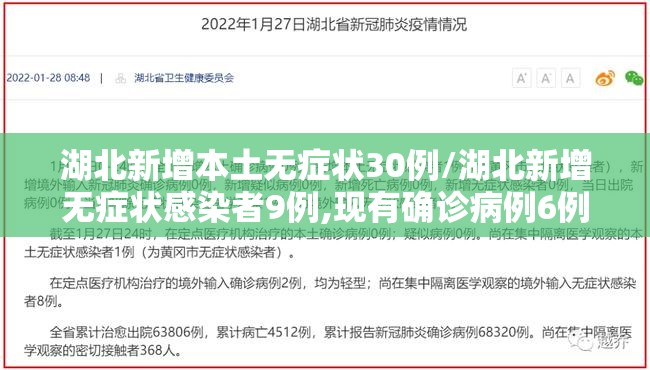 湖北新增本土无症状30例/湖北新增无症状感染者9例,现有确诊病例6例