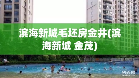 滨海新城毛坯房金井(滨海新城 金茂)