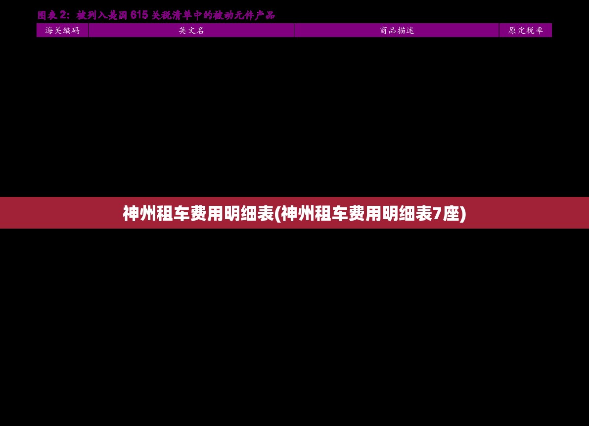神州租车费用明细表(神州租车费用明细表7座)