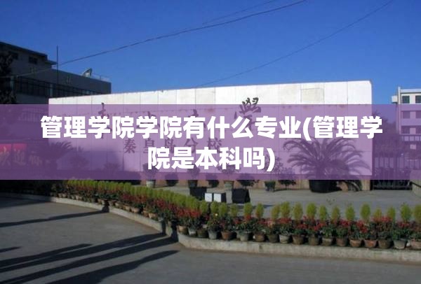 管理学院学院有什么专业(管理学院是本科吗)