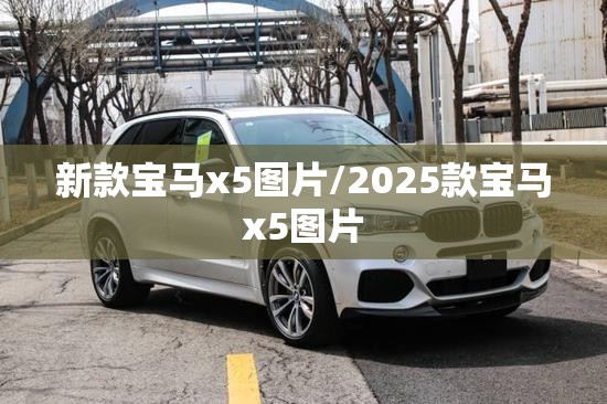 新款宝马x5图片/2025款宝马x5图片
