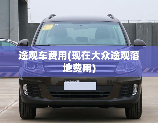 途观车费用(现在大众途观落地费用)