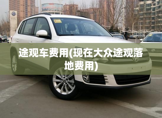 途观车费用(现在大众途观落地费用)