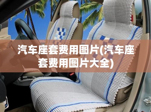 汽车座套费用图片(汽车座套费用图片大全)
