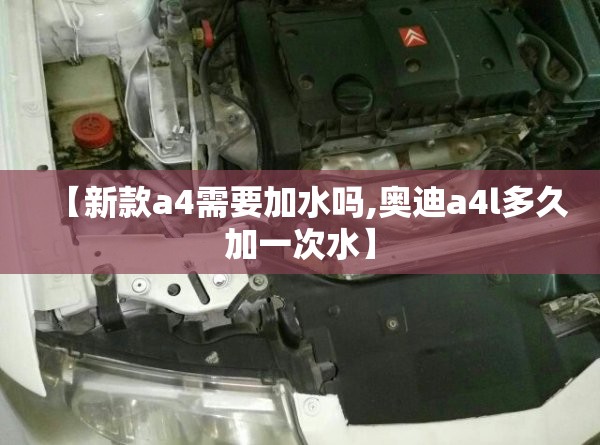 【新款a4需要加水吗,奥迪a4l多久加一次水】