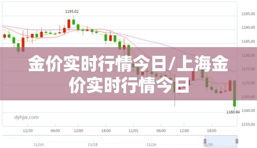 金价实时行情今日/上海金价实时行情今日