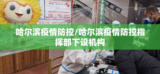 哈尔滨疫情防控/哈尔滨疫情防控指挥部下设机构