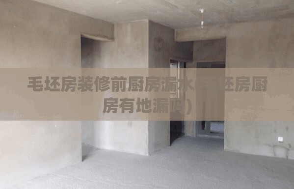 毛坯房装修前厨房漏水(毛坯房厨房有地漏吗)