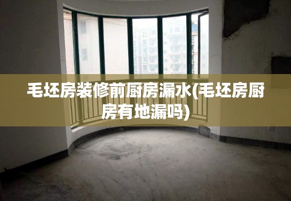 毛坯房装修前厨房漏水(毛坯房厨房有地漏吗)