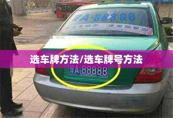 选车牌方法/选车牌号方法