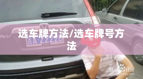 选车牌方法/选车牌号方法