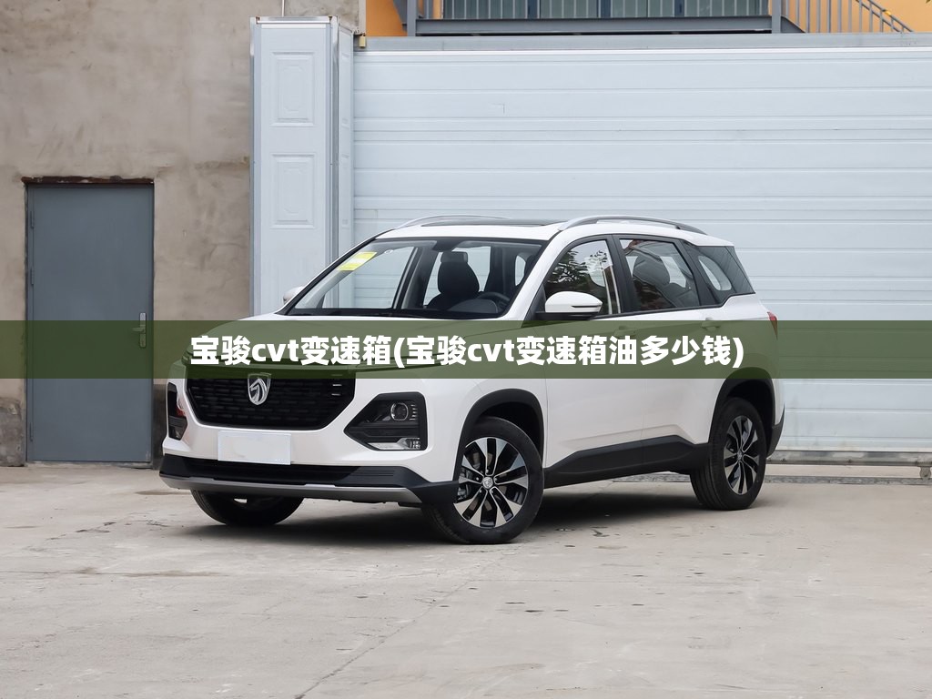 宝骏cvt变速箱(宝骏cvt变速箱油多少钱)