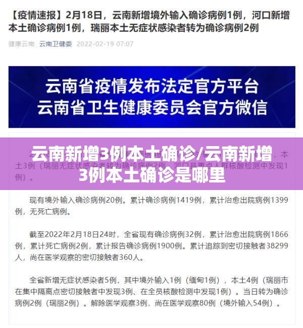 云南新增3例本土确诊/云南新增3例本土确诊是哪里 云南新增3例本土确诊/云南新增3例本土确诊是哪里