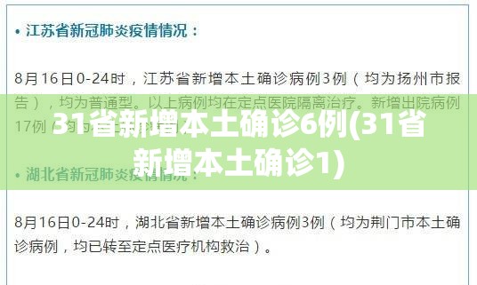 31省新增本土确诊6例(31省新增本土确诊1)