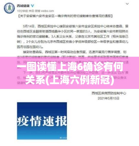 一图读懂上海6确诊有何关系(上海六例新冠)