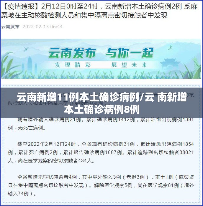 云南新增11例本土确诊病例/云 南新增本土确诊病例8例