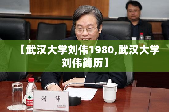 【武汉大学刘伟1980,武汉大学刘伟简历】