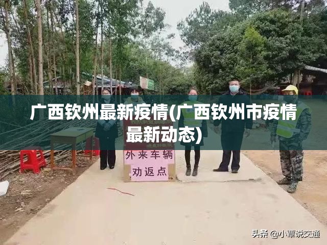 广西钦州最新疫情(广西钦州市疫情最新动态)