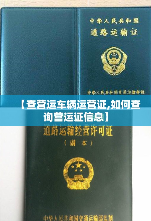 【查营运车辆运营证,如何查询营运证信息】