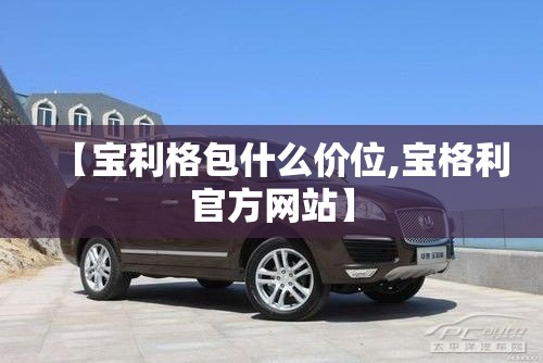 【宝利格包什么价位,宝格利官方网站】