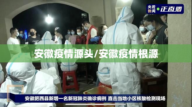 安徽疫情源头/安徽疫情根源