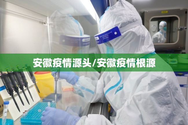 安徽疫情源头/安徽疫情根源