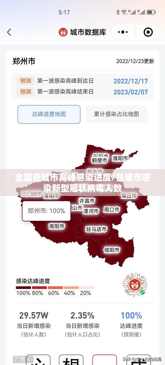 全国各城市高峰感染进度/各城市感染新型冠状病毒人数